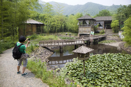 浙江人把竹海变成了4A景区，成龙的《卧虎藏龙》拍摄地，门票58元