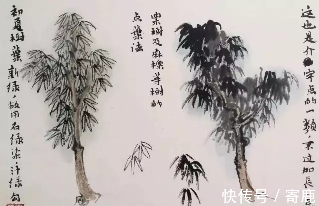 画树#国画教程|陆俨少树法