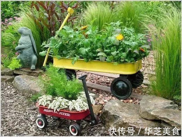 鞋子|她把家里的旧鞋子、茶壶用来种花，卖300一个邻居抢着要！