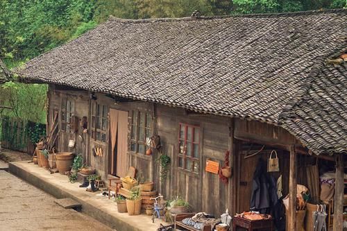 桃花林|世有桃源,不慌不忙