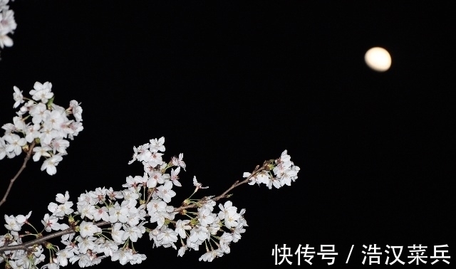 残香#谁说当代无好诗?推荐30首佳作,写尽人生悲欢,深秋情思最动人心