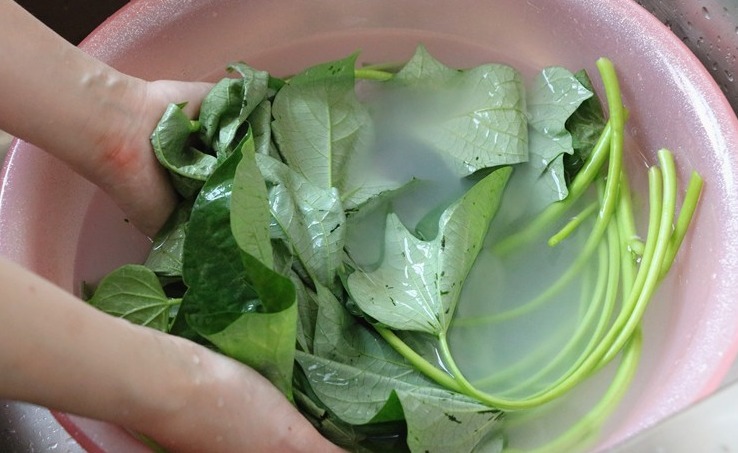 正当季|红薯叶煮鸡蛋，作用实在是太厉害了，省钱又实用，很多人都不晓得