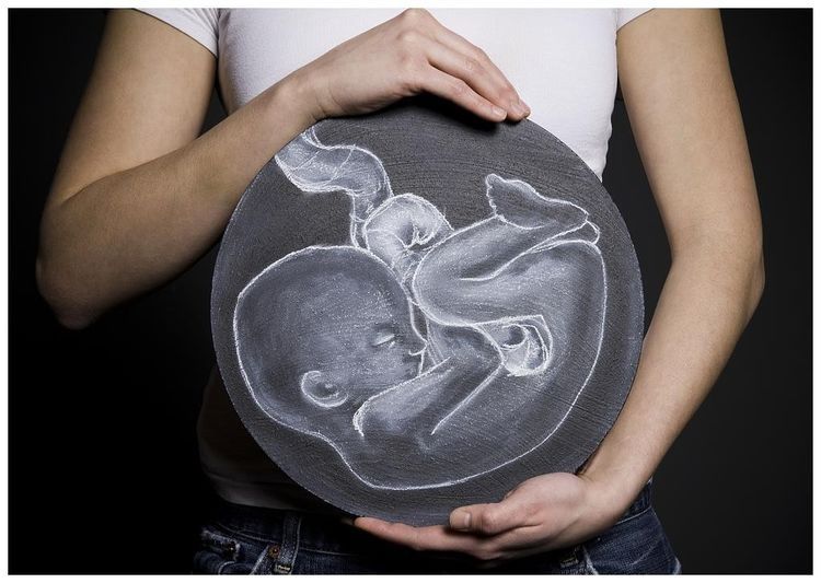 怀孕期间|想要胎儿健康发育有保证，孕妇孕期生活要节制，自律很关键