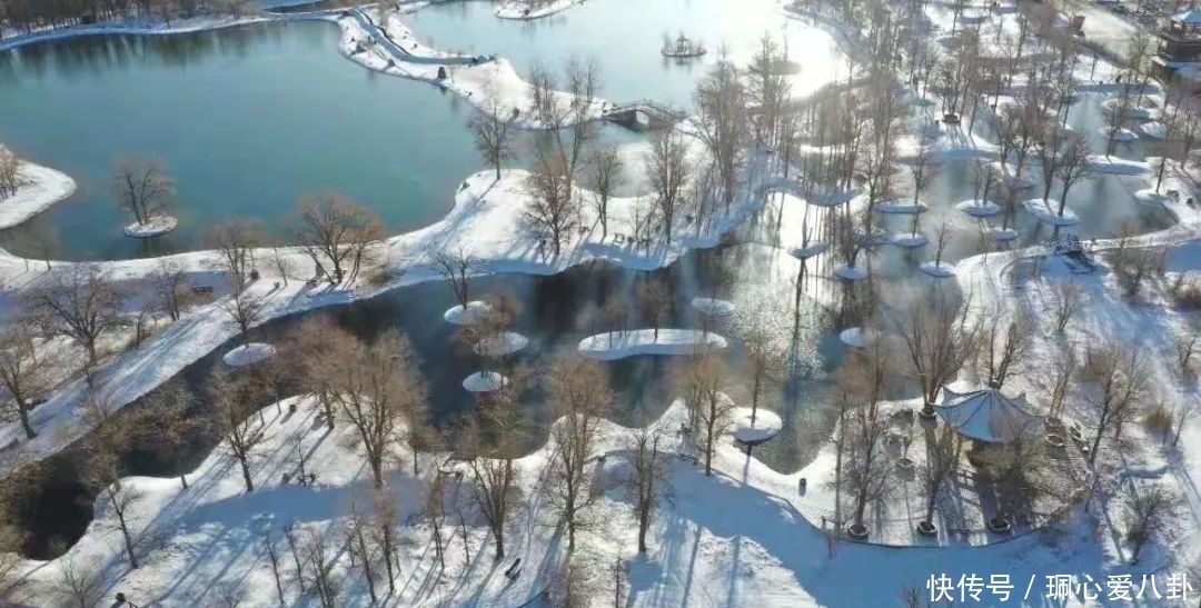 惊艳！冬日里的金塔胡杨林，美到尖叫的冰雪奇缘