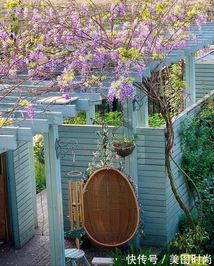 满园|2年前,买了一栋带院子的房子,在高楼喧嚣中建一个“梦幻花园”