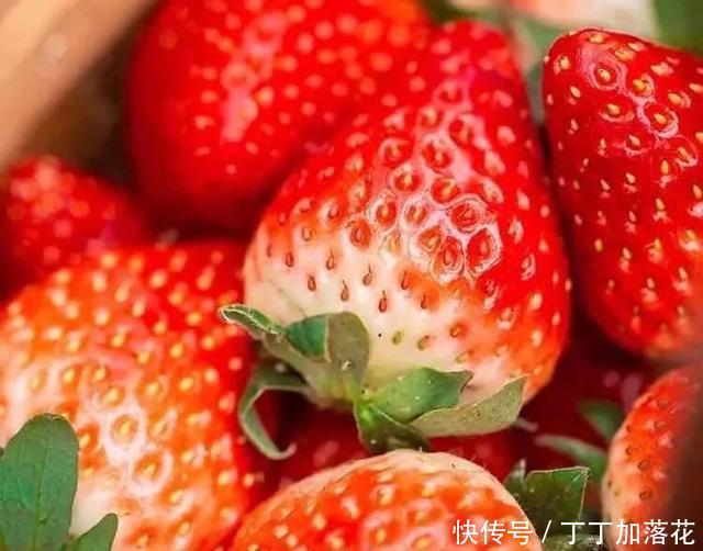 生意|秋天的第N+1杯奶茶,校园奶茶店生意都很红火