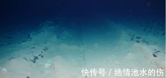 结核|5500米深海出现巨大爪痕，已存在50多年，是谁遗留的？