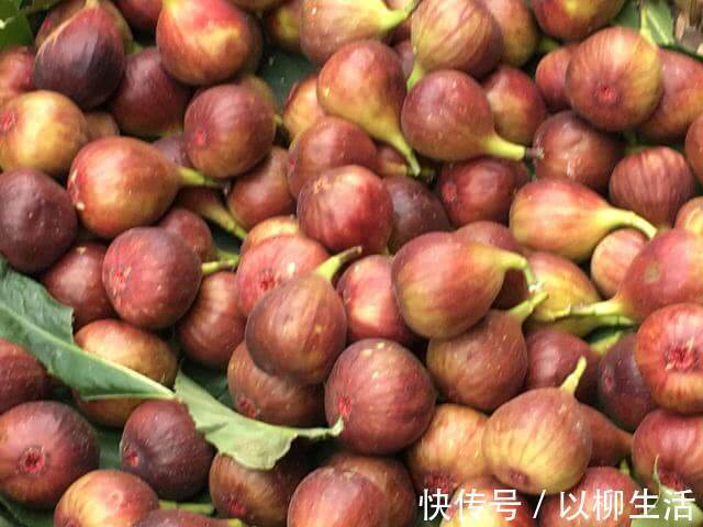 通乳散结|4物是天然的“黄体酮”，女人多吃消炎抑菌，或助你远离妇科病