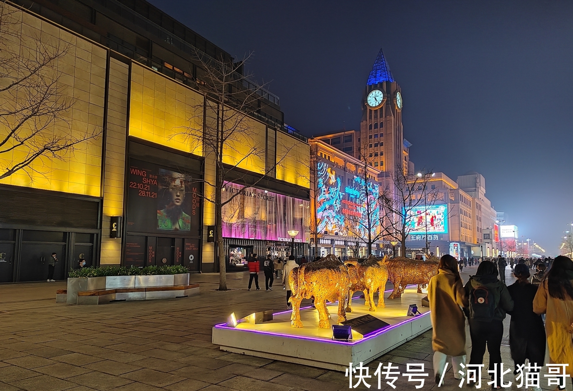 骁龙|荣耀60 Pro体验：新工艺注入，轻薄依旧精致不减丨钛极客