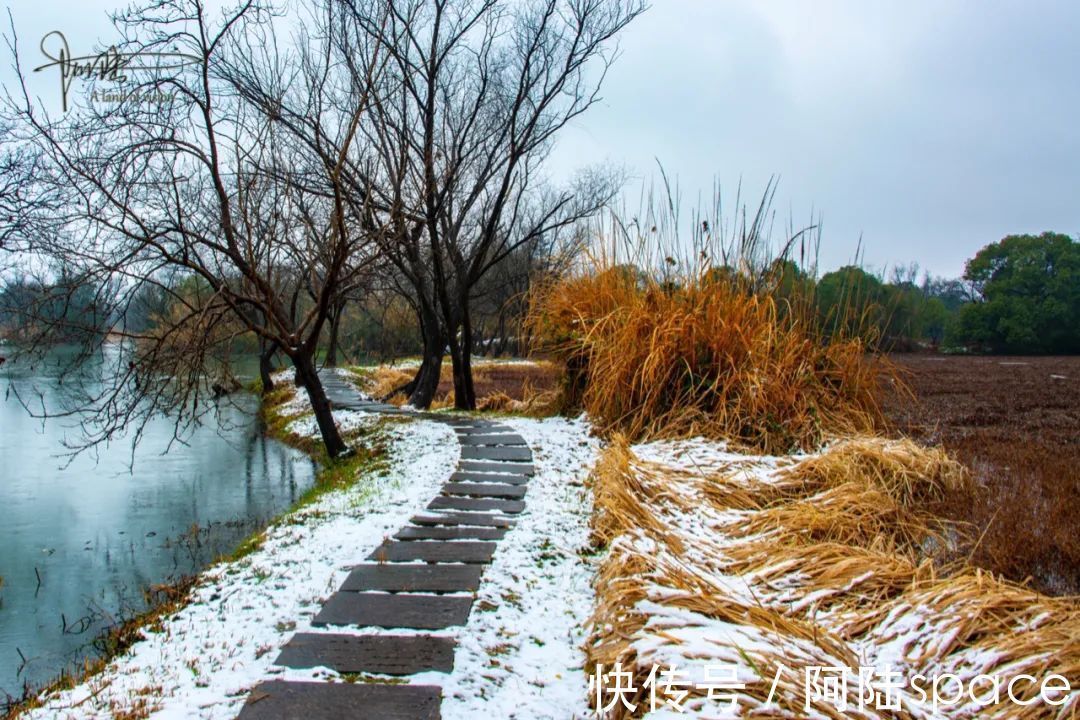 耳听八方|在雨雪天气游玩西溪湿地，风景很美但也要当心这些地方