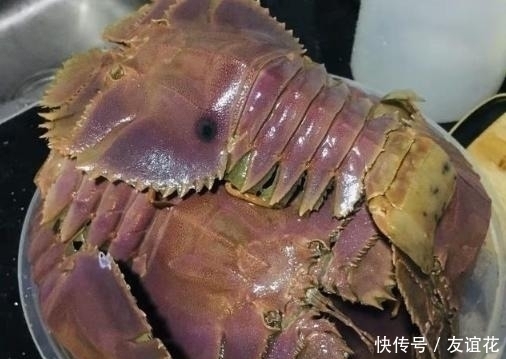 误以为|朋友寄一箱“海鲜”,误以为是虾,本想扔掉,掰开后“惊喜满满”