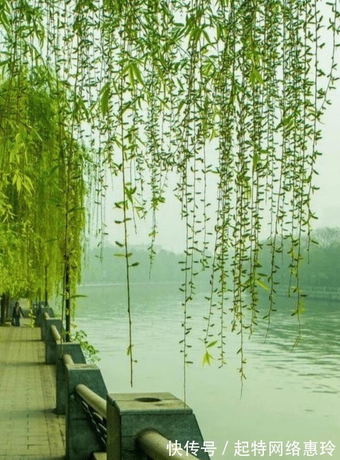 朱服$朱服一生仅有一首词流传下来,末尾一句惊艳诗坛,他得意了半辈子