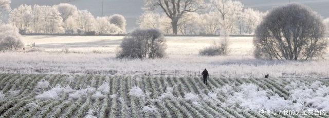 飞雪 英国五月飞雪，2021年是世界末日？英国创造历史低温