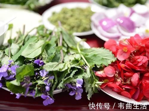 野菜|早春常见一野菜,古时是军粮,野外若遇到,请用袋子多装点