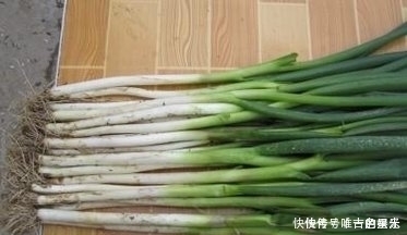 常吃葱的人,身体不会差,但切忌与一物同食,却有很多人不清楚