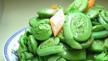 农村人爱吃以下山野菜,是名贵中草药!专家:早看早知道