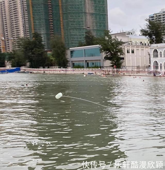 路人|不用鱼钩不用鱼竿也能钓上鱼广西北海现“新奇钓法”,路人围观