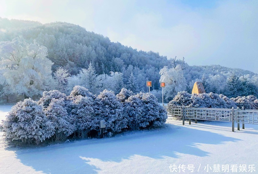 滑雪|冬天千万别来固原玩！滑雪、赏凇、农家乐让人忙不停