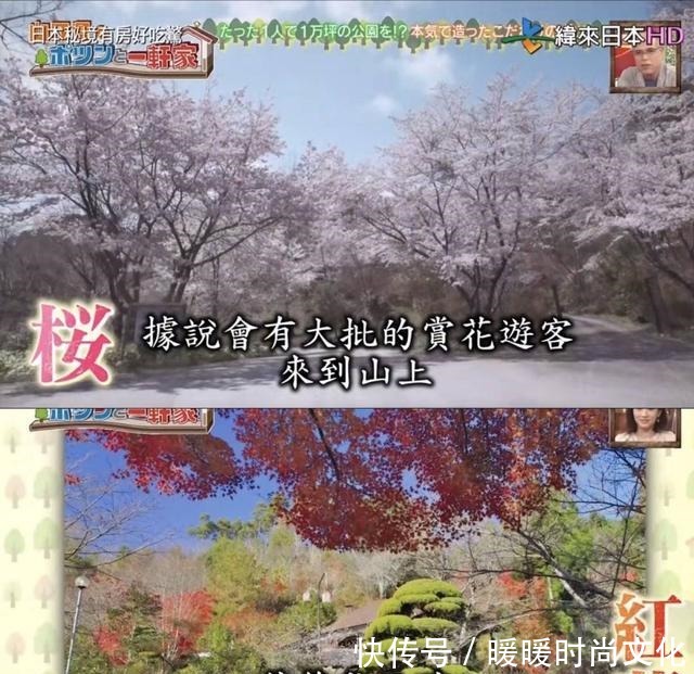 房好吃惊|23年种5700棵树 这个老人把荒山建成了森林公园