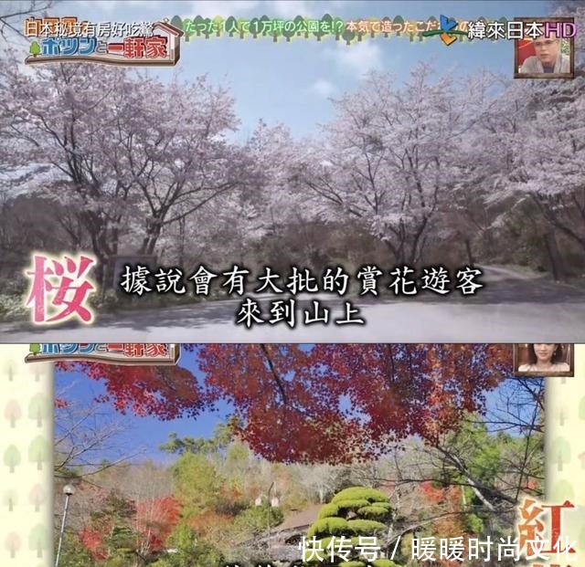  房好吃惊|23年种5700棵树 这个老人把荒山建成了森林公园