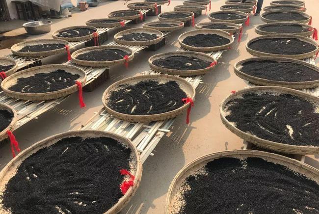 红枣|建议中老年:入秋少吃肉,若不差钱常吃这5种食物,营养高好吸收