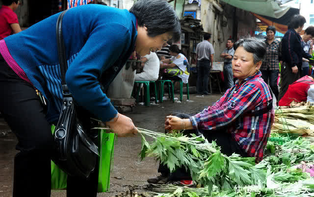 习俗|端午节插艾草有说法,老话说“五讲究三不挂”指的是什么?