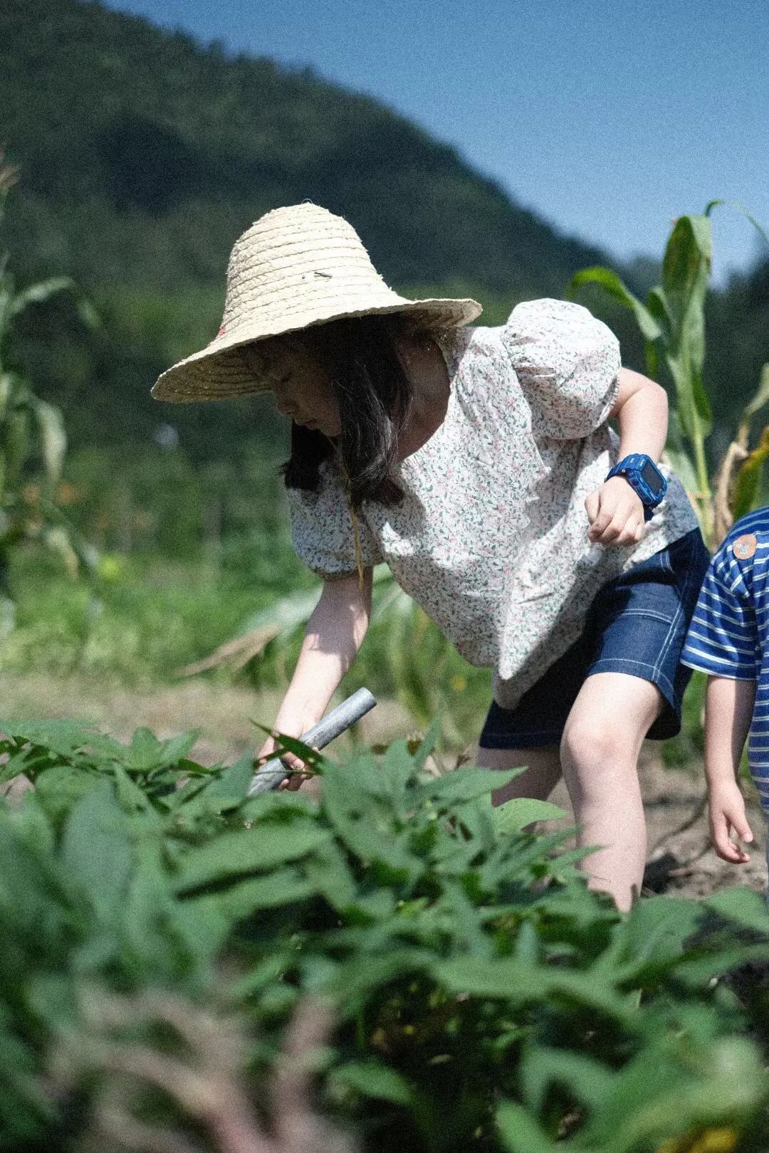 孩子们|太好玩！这个网红亲子游，看了分分钟就想去遛娃～