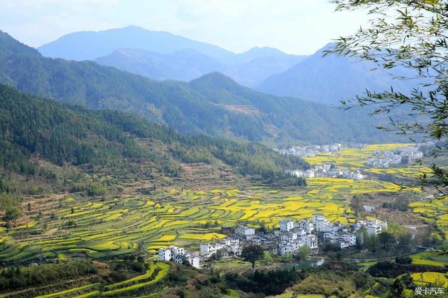 阳春三月，游婺源赏油菜花