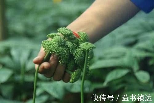 女人|子宫肌瘤的“良药”找到了，女人常吃，活血化瘀，肌瘤慢慢消