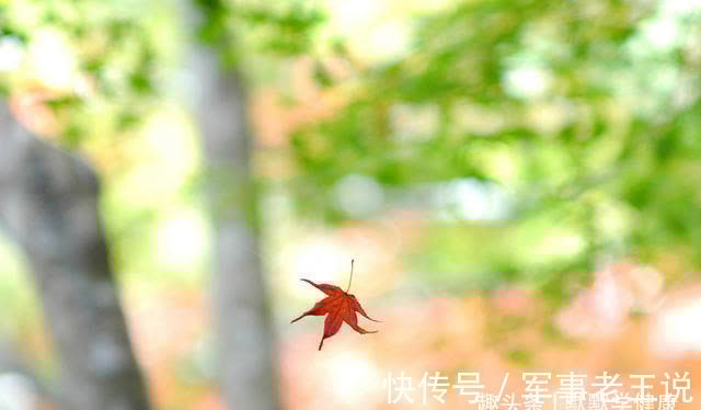 身体|立秋后,提前准备这些食物,补一补夏季过后气血虚的身体