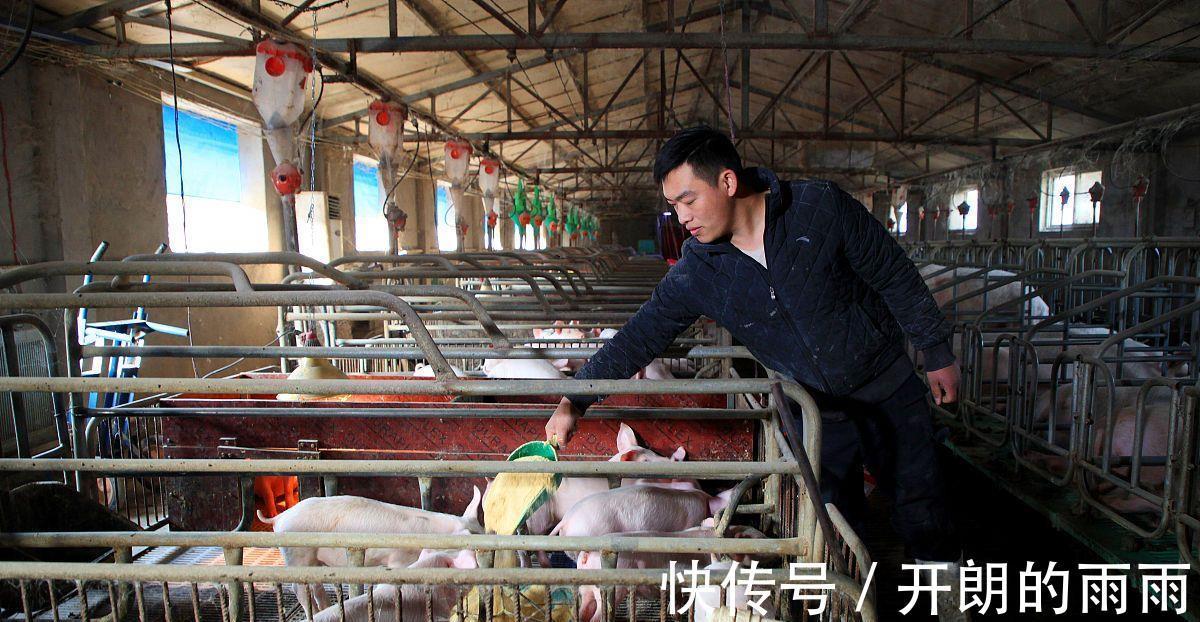 养猪业|暴跌86不怕!华为祭出4个新“收入引擎”,一个比一个给力