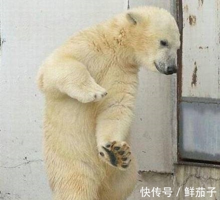 |搞笑图片幽默段子笑话:大哥你买这么多的早餐,你家几口人啊