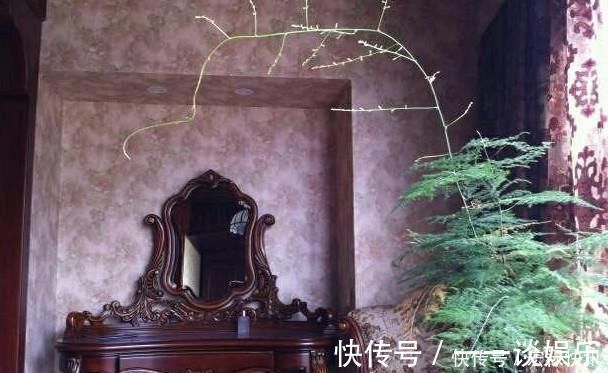 衣帽间|晒晒我的婚房,装修花了120万,光餐桌就4万,冰箱你都没见过