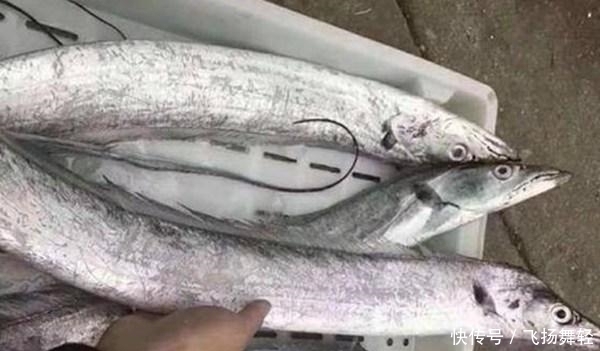 买带鱼时,聪明人遇到“这3种”扭头就走,商贩:从不让家人吃