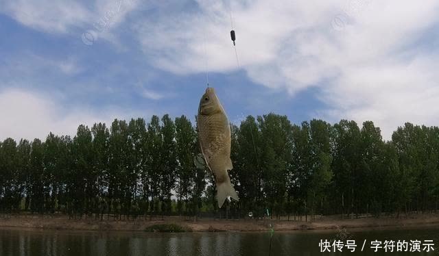 子线|浅滩、走水、刮大风，双活铅速钓潮白河