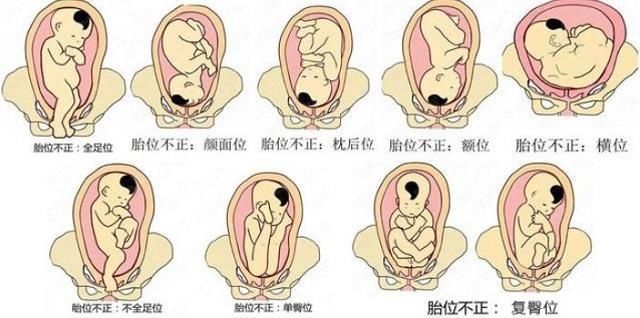 妈妈|顺产明明是最高级别的痛,为何妈妈都能撑过去?原来身体如此奇妙