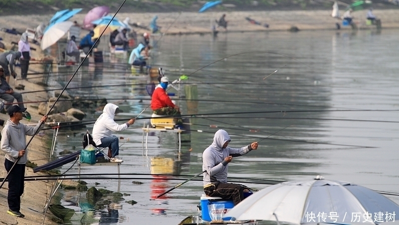 新钓点就难上鱼找到问题的根源,小白也能连竿上大鱼