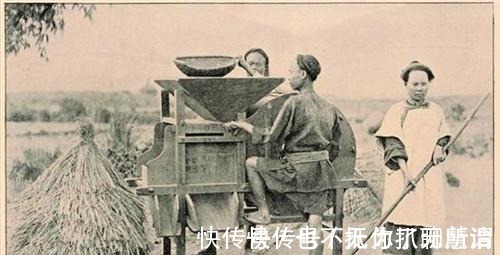 亩产!他冒死从国外偷回一根藤,让清朝人口增长三亿,至今仍被后世纪念