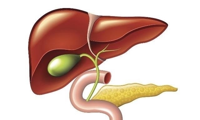 菊花茶|枸杞加“一物”泡水,连喝3天,或许肾补满了,肝也变“干净”