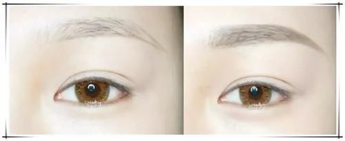 新手画眉方法