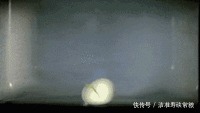 不能放进微波炉的10种东西,很多人第一个就弄错了,太危险了