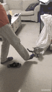 国家|“全世界有198面国旗,为什么没有国家用紫色?”太疑惑了