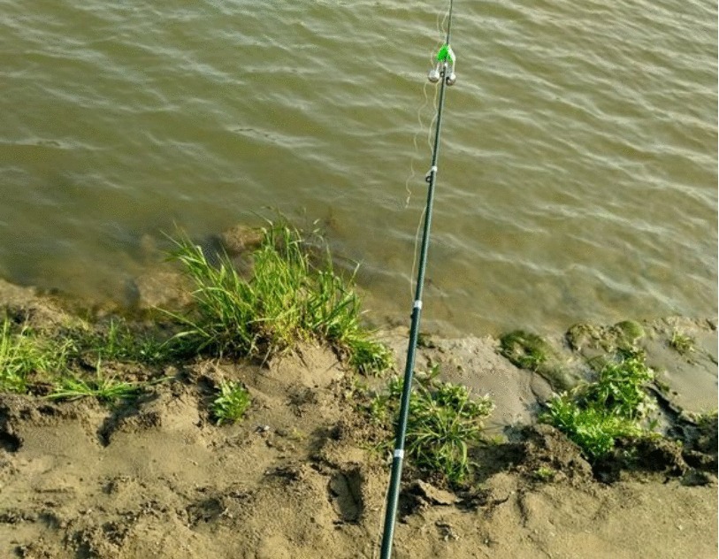 小伙用泥鳅钓翘嘴, 三年时间渔获破万斤, “缺德”钓法引众怒