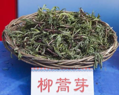 野菜|你家乡有什么特色野菜？有多少个品种，有什么特色吃法？