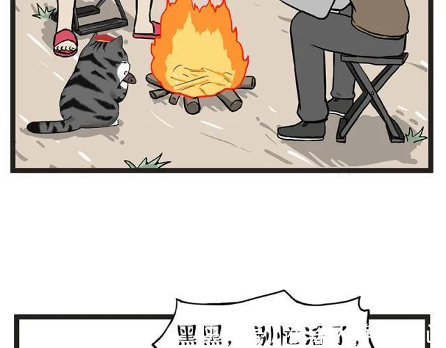 |搞笑漫画《钓鱼》,钓到大鱼了要不要来尝尝?