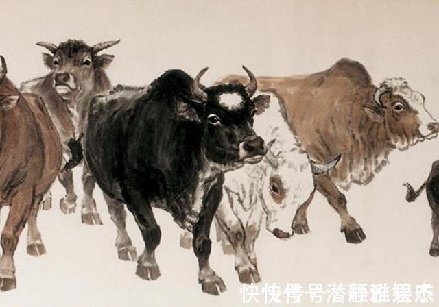 适应能力|揭秘生肖牛的姻缘与运势，尤其是1973年的，老人说的没有错！