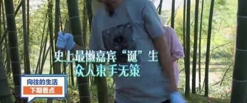 网友吐槽《向往的生活》越来越看不下去了，理由好扎心