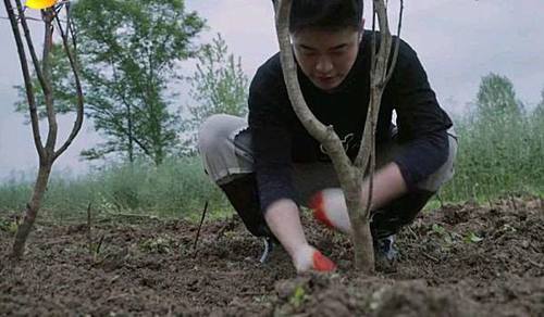 彭昱畅 《向往的生活》:干最轻的活,拿最高的片酬,竟然还有人喊累?