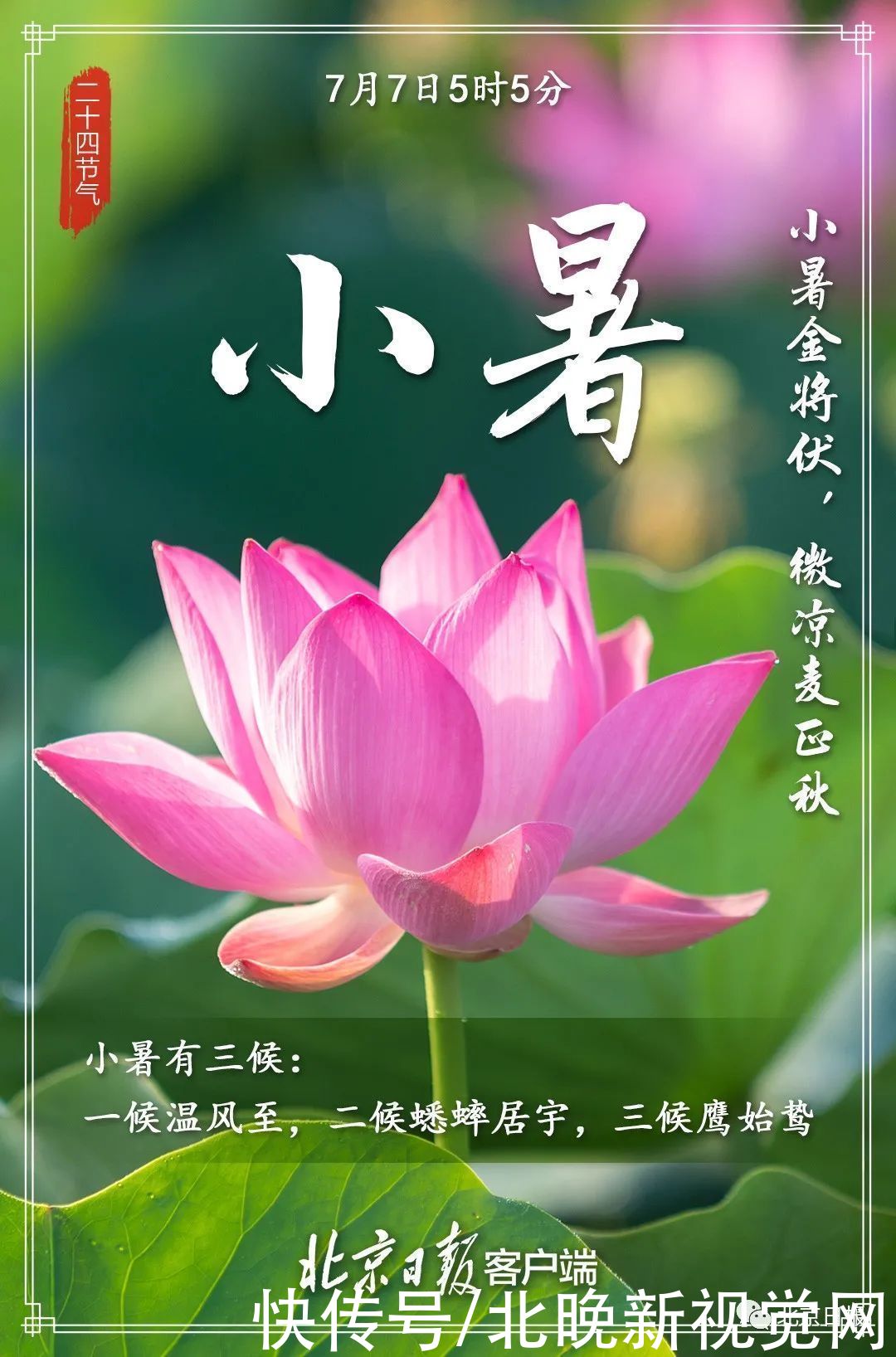 温风|小暑至，盛夏始！今起三天，北京热热热