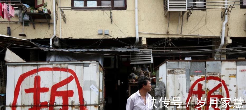 青苗|又要征地了!上海此地新建道路,征收土地4282.6平方米